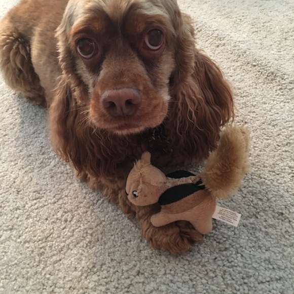 Meet your Posher, Reine - Picture 3 of 3